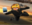Deadfalconzz