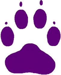 purpledog