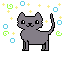 Kitty Kitty