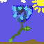 Rose of Blue