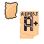 report