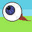 eye