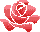 Lineless Rose