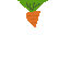carrot for the game #2