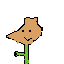 planta