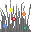 tallgrass_1