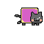 the amazing cat of alll