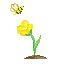 flower bee