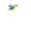 lil dragon