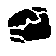 outcropping