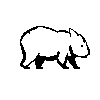 wombat1