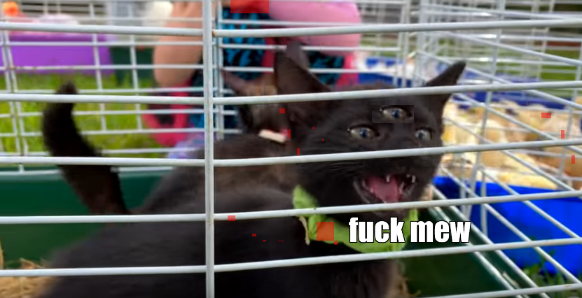 blood and meat the kitten died the girls ate it and the guests stayed the kitten that planted the girl was full of that meat and guts he ate everything for the kitten