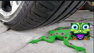 frog revenge! I started the car, this frog. murder.