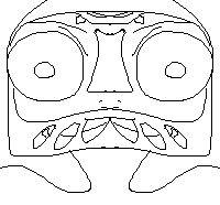 pegr