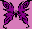 Mariposa lila