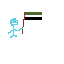 guy with uae flag