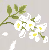 Sprite #212929