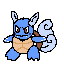 8- Wartortle