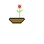 flower 1