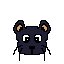 nft_cat