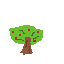 A simple apple tree