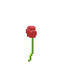 A simple flower 1