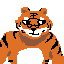 tiger bear