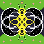 a symmetrical insect