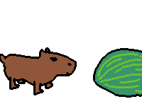 capybara vs watermelon