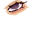 test eye
