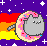 Nyan Donut Cat (Again)