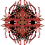 simetria