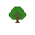 Spruce tree