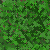 Sprite #81301