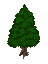 Sprite #81617